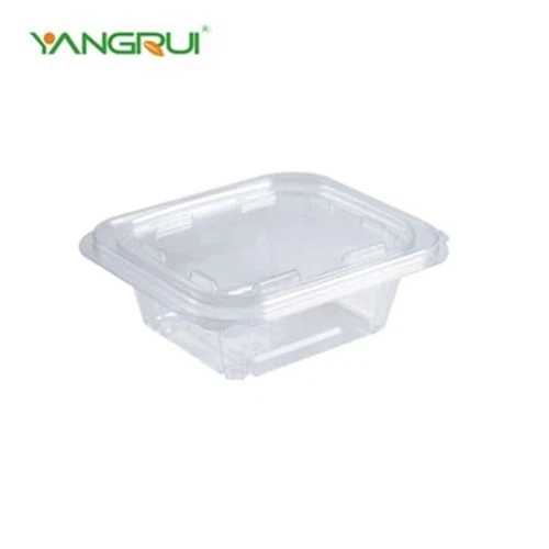 Plastic Takeout Boxes Plastic Takeout Boxes